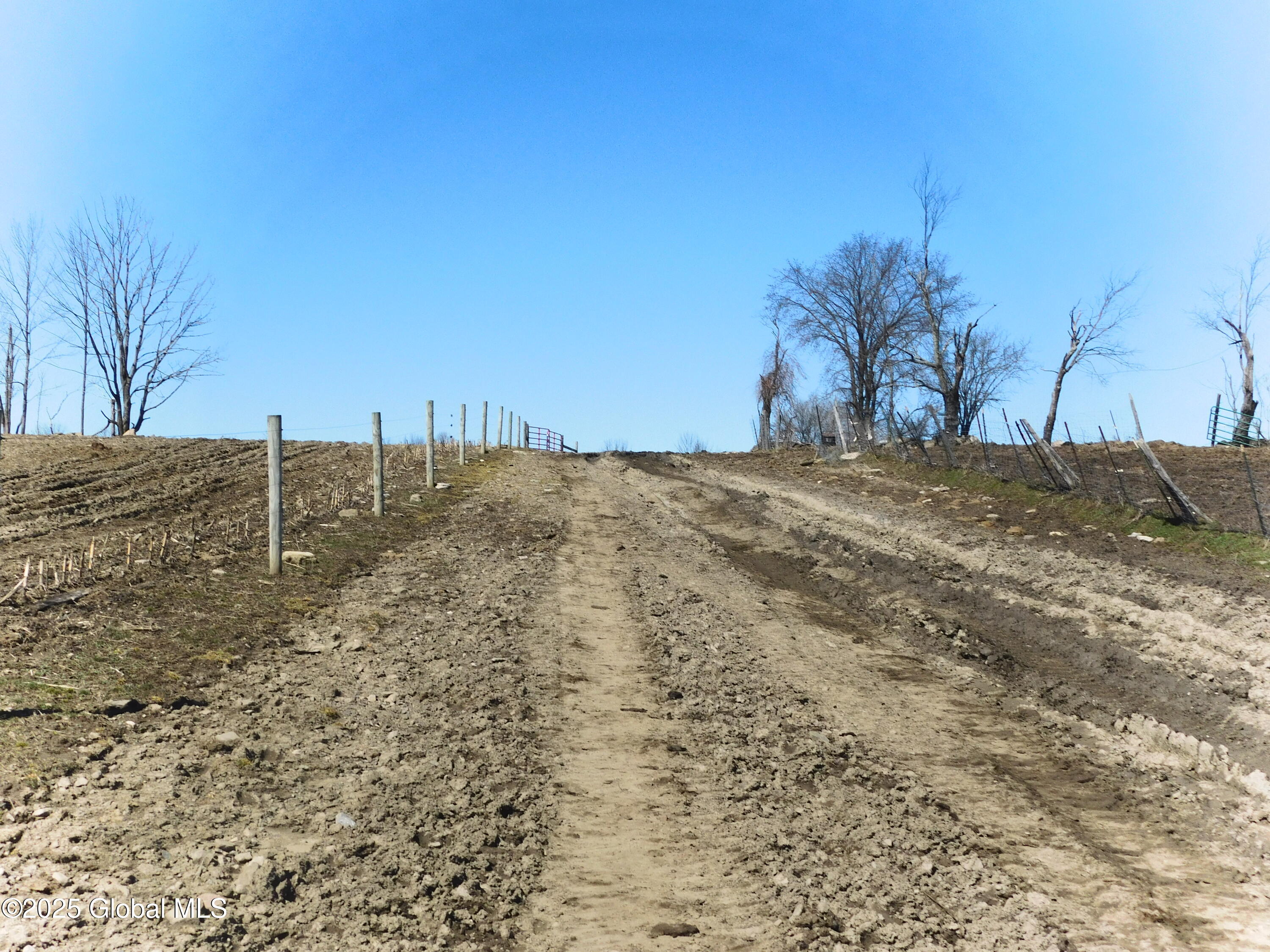 449 Caverns Road Howes Cave, NY 12092 - Photo 8 of 63 DSCN6944