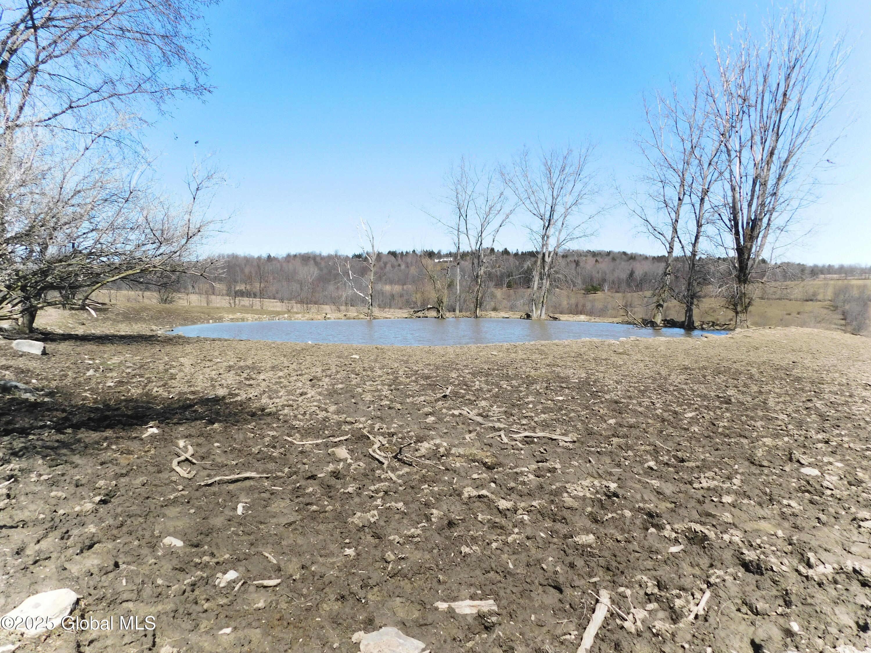 449 Caverns Road Howes Cave, NY 12092 - Photo 10 of 63 DSCN6954