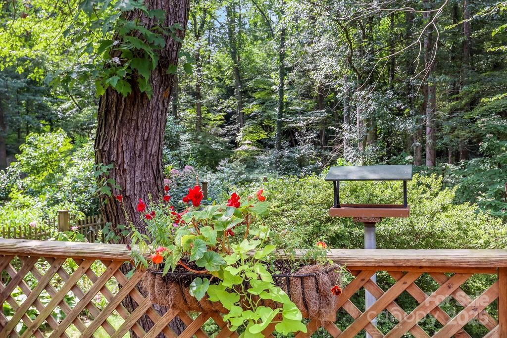 3 Stockwood Road Asheville, NC 28803 - Photo 12 of 36 a view of a sign in a garden