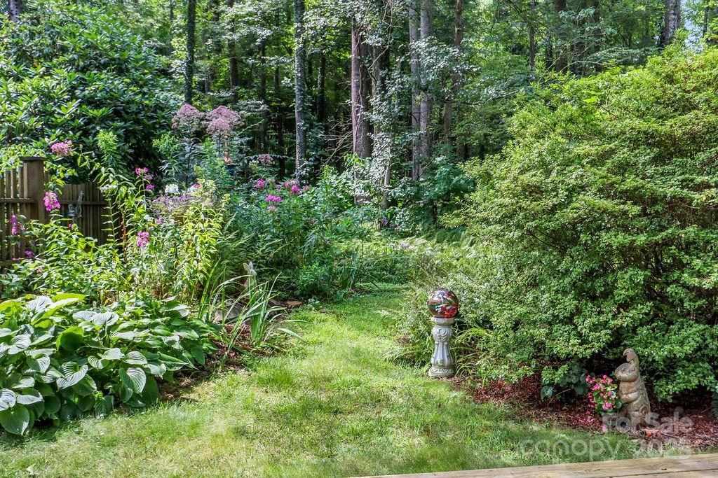 3 Stockwood Road Asheville, NC 28803 - Photo 16 of 36 a view of a garden with small plants