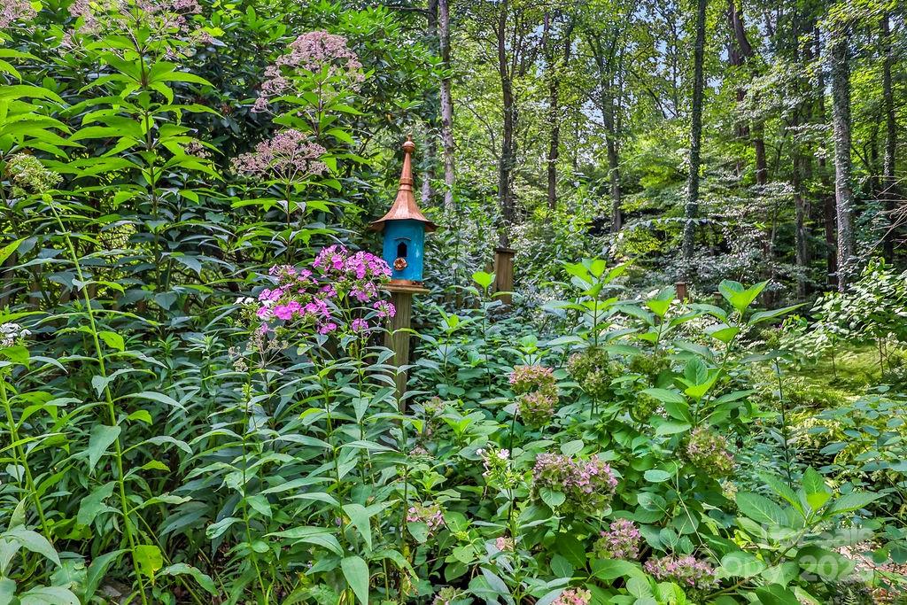 3 Stockwood Road Asheville, NC 28803 - Photo 17 of 36 a view of a flower in a garden