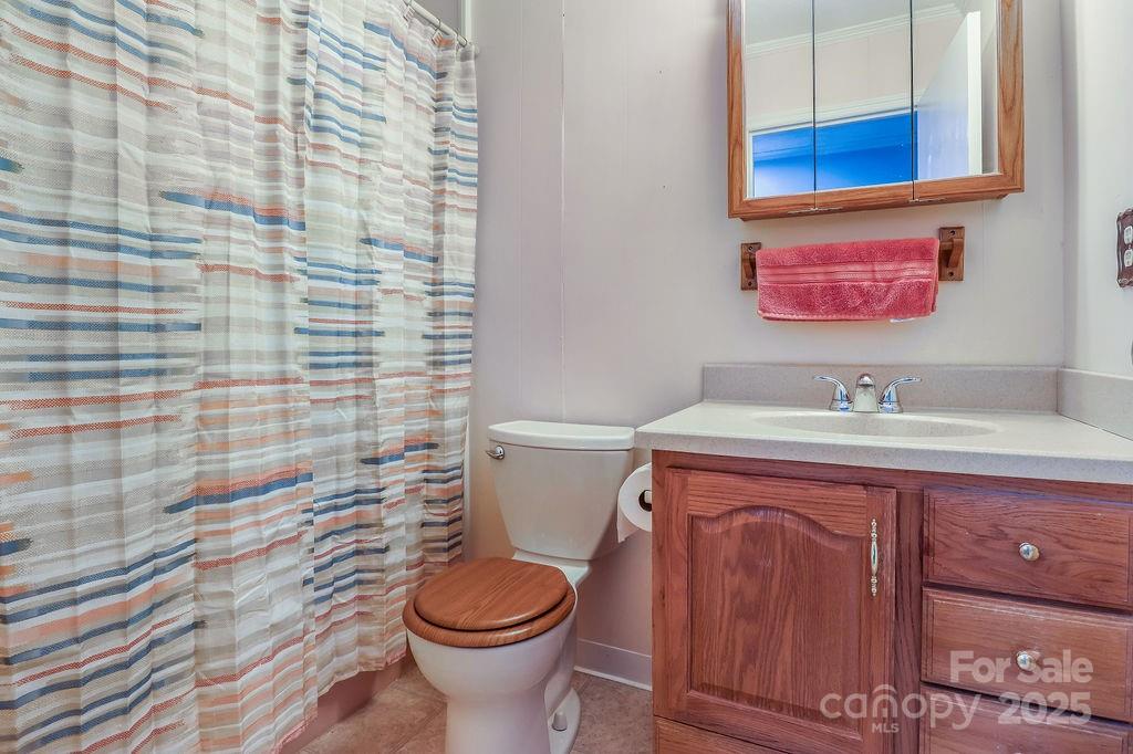 3 Stockwood Road Asheville, NC 28803 - Photo 24 of 36 a bathroom with a sink a toilet and a mirror