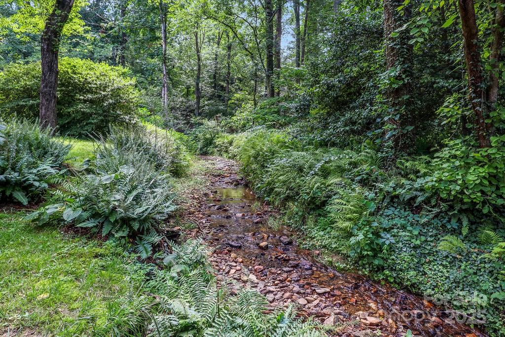 3 Stockwood Road Asheville, NC 28803 - Photo 33 of 36 a view of a lush green forest