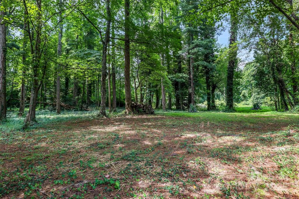 3 Stockwood Road Asheville, NC 28803 - Photo 35 of 36 a view of outdoor space with trees all around