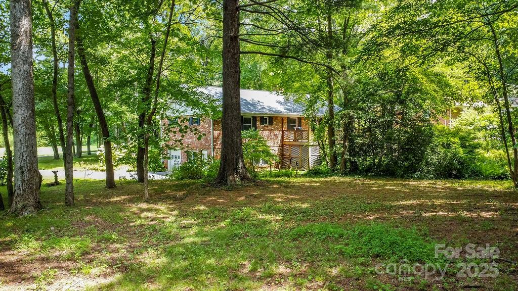 3 Stockwood Road Asheville, NC 28803 - Photo 36 of 36 a view of a trees in a yard