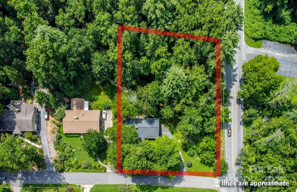 3 Stockwood Road Asheville, NC 28803 - Photo 5 of 36 an aerial view of a house with a yard and garden