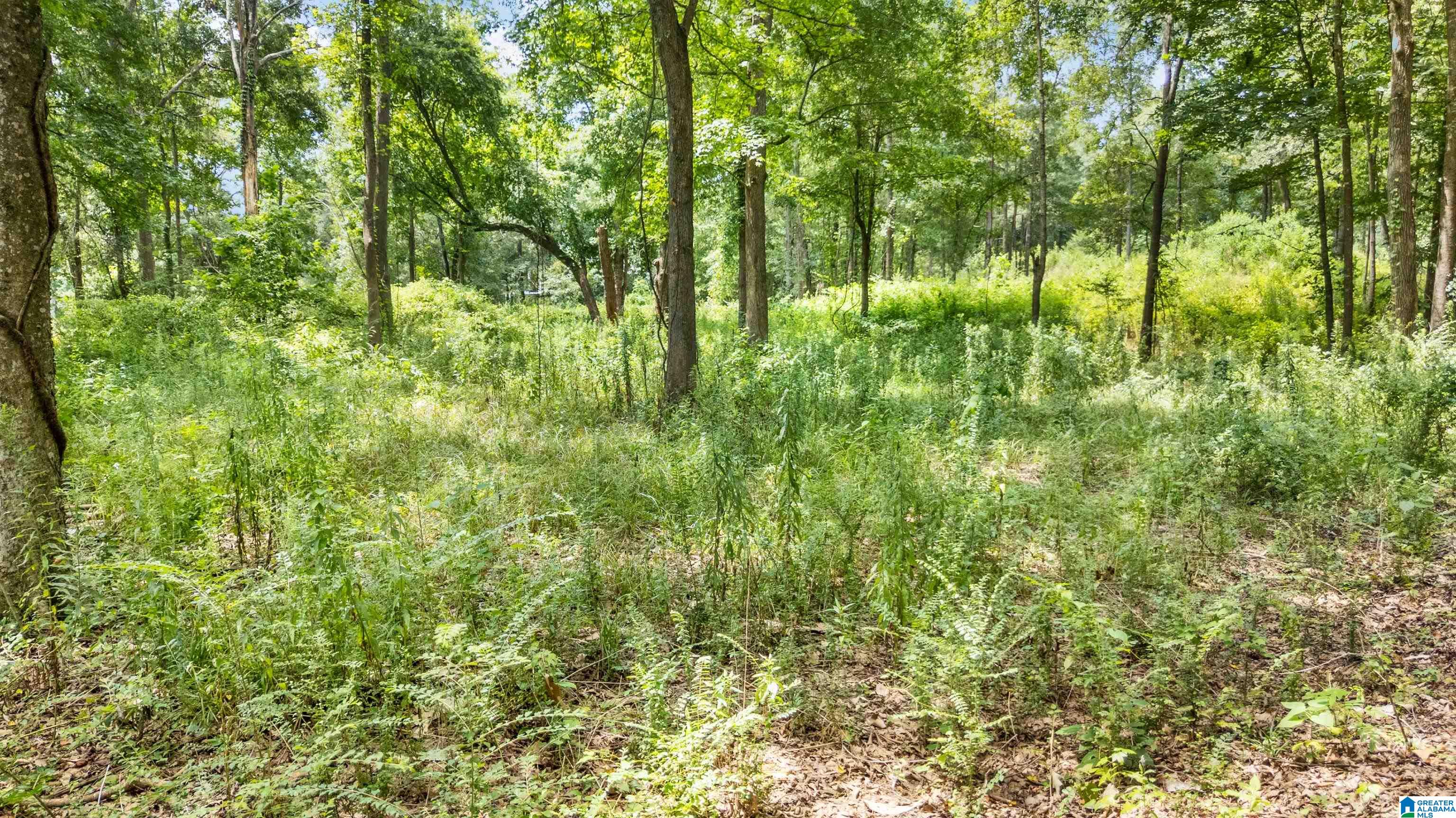 Lot 7 Hebb Road, Unit 7A Wilsonville, AL 35186 - Photo 5 of 29 Gallery Image 5