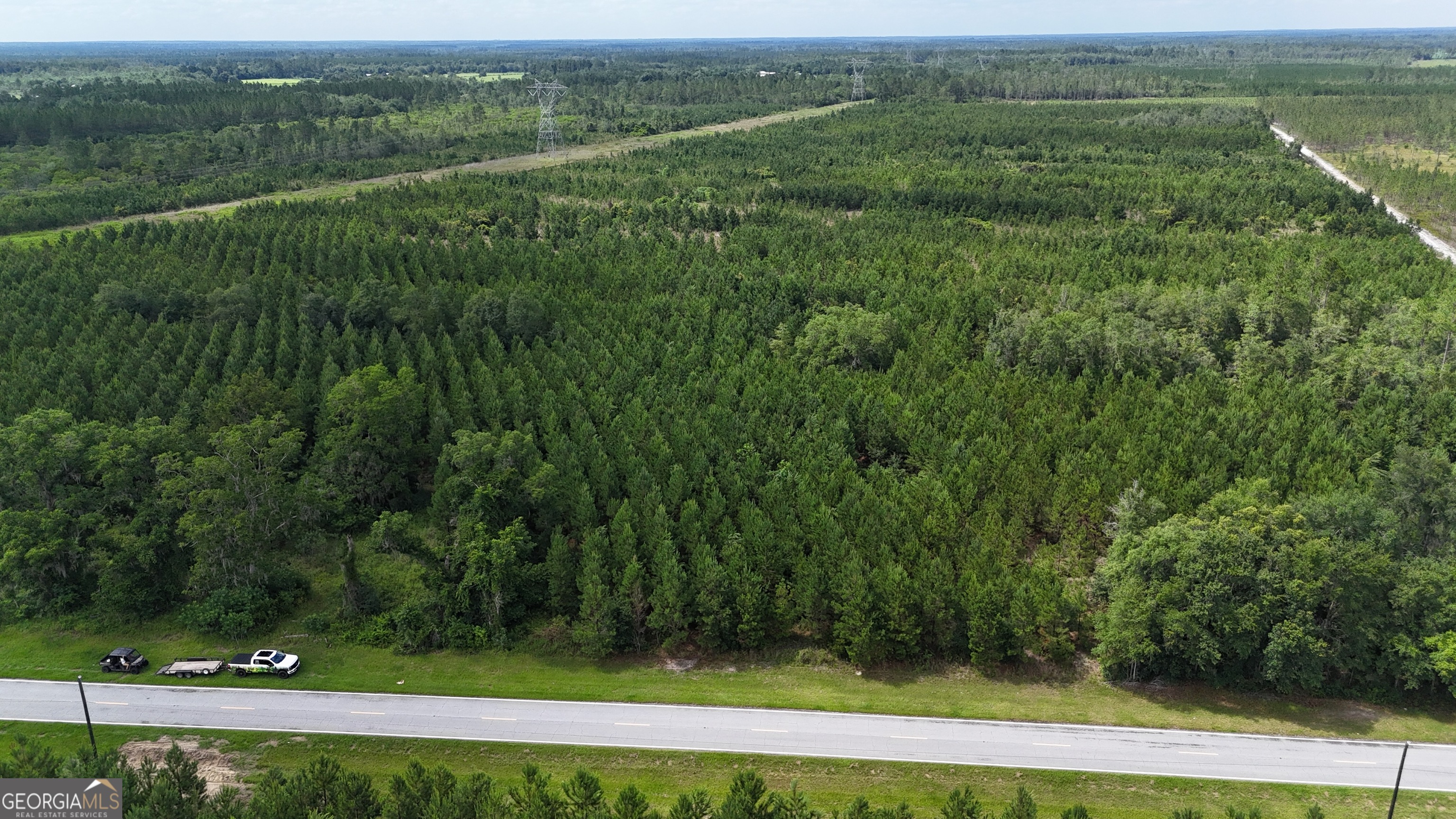 Tract 1 Trudie Road Blackshear, GA 31516 - Photo 2 of 7 a view of a lush green outdoor space