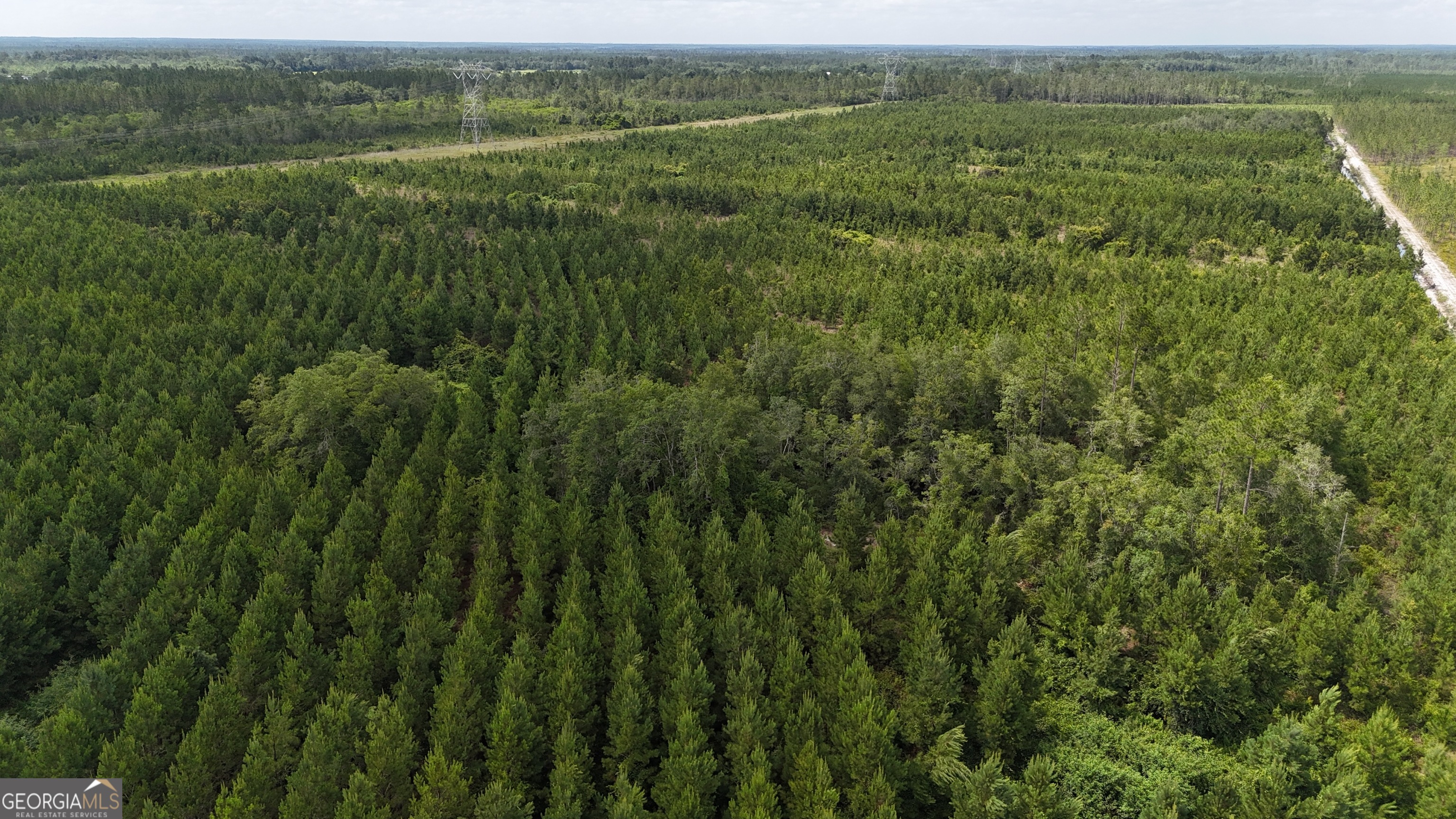 Tract 1 Trudie Road Blackshear, GA 31516 - Photo 3 of 7 a view of a lush green forest with a mountain