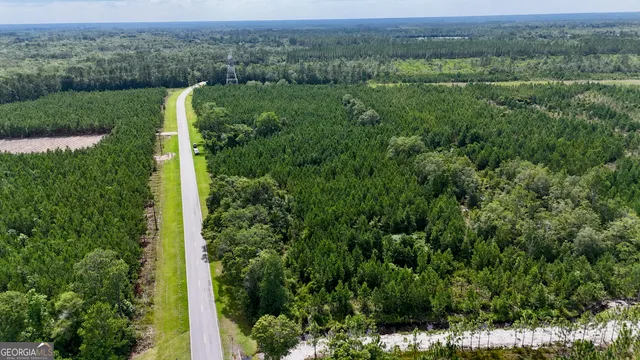 an aerial view of a houses with a lush green forest
