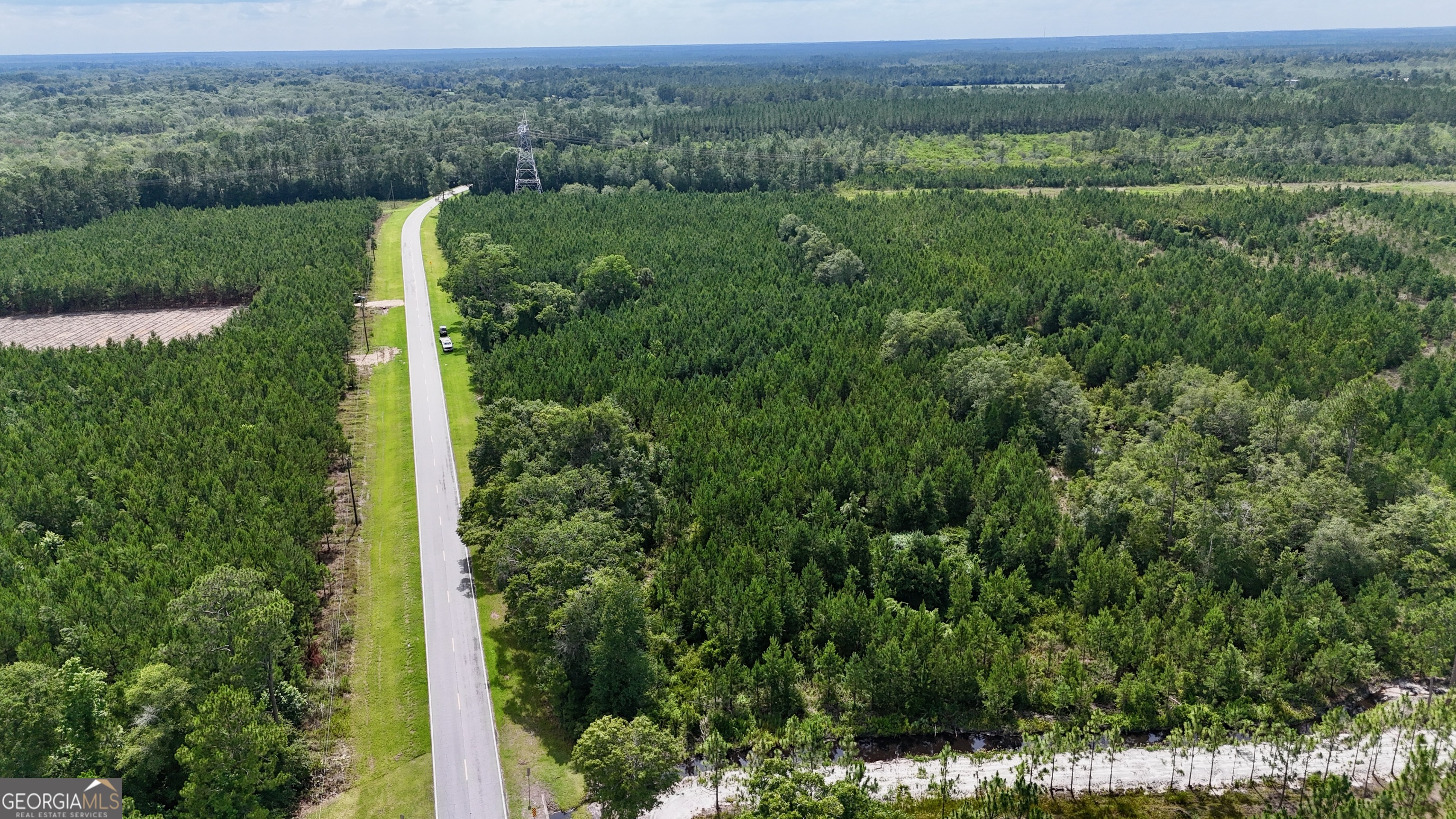 Tract 1 Trudie Road Blackshear, GA 31516 - Photo 4 of 7 an aerial view of a houses with a lush green forest