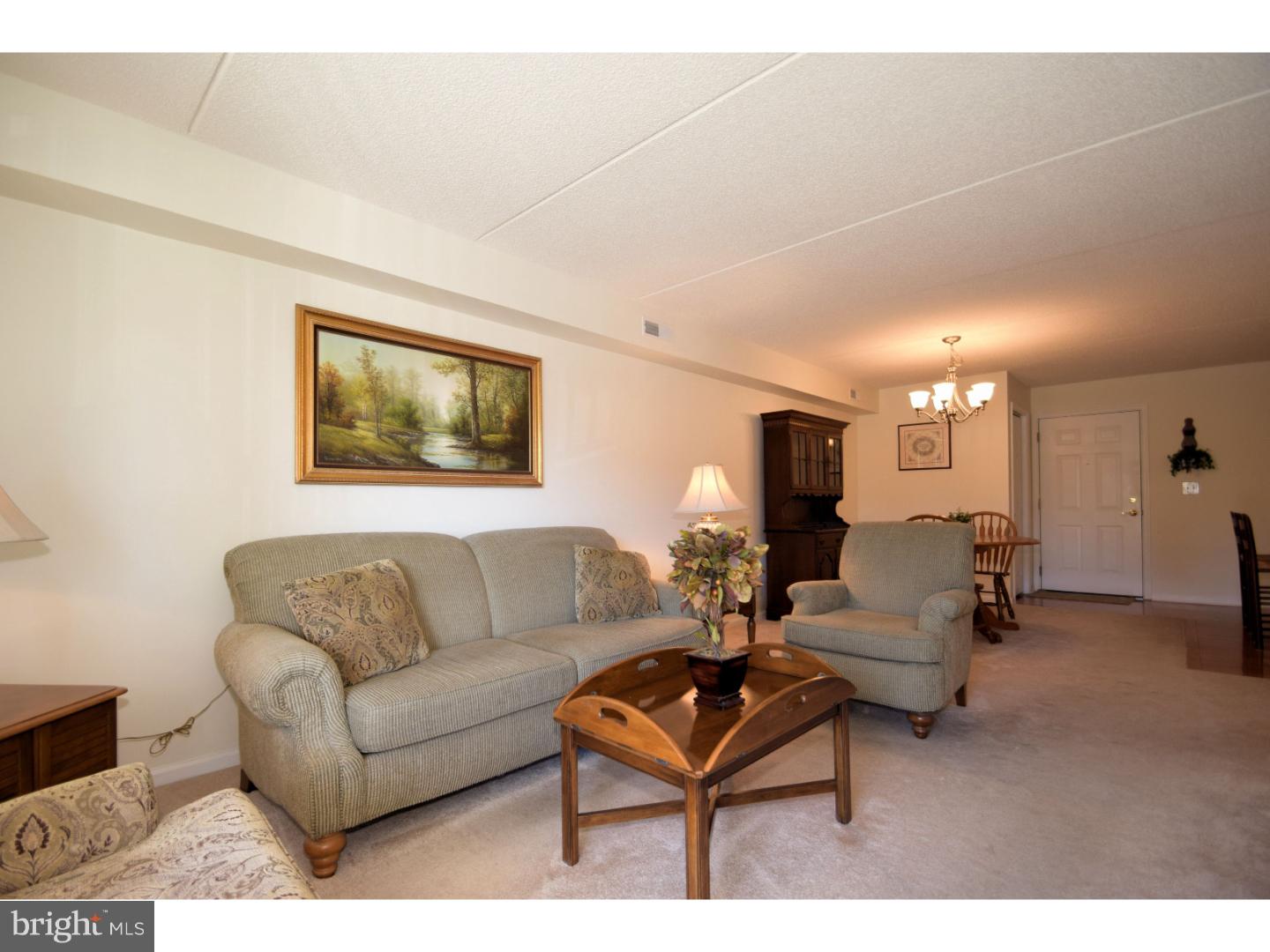 529 Brandon Road, Unit 529 Eagleville, PA 19403 - Photo 11 of 24 Living Room