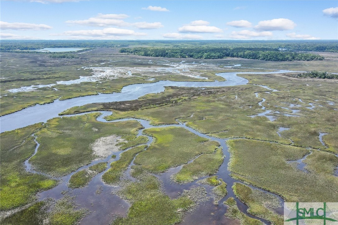 115 Pinetree Road Midway, GA 31320 - Photo 47 of 50