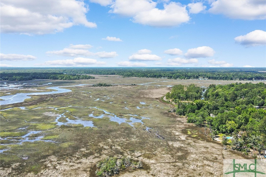 115 Pinetree Road Midway, GA 31320 - Photo 48 of 50