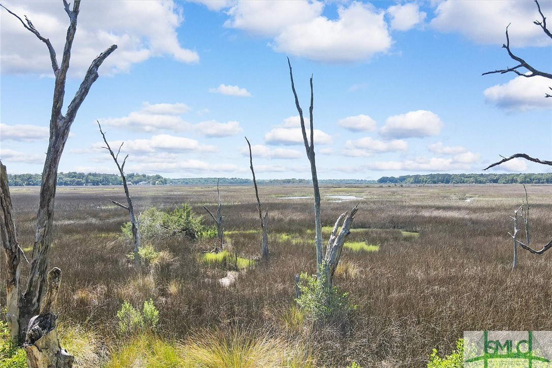 115 Pinetree Road Midway, GA 31320 - Photo 50 of 50