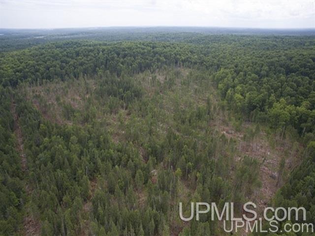 40-acres Co Rd 467 Germfask, MI 49836 - Photo 9 of 22