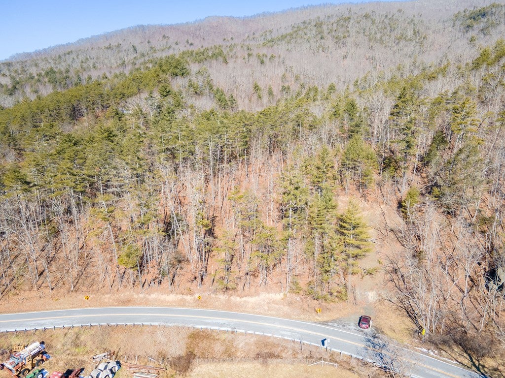 Tbd Wilderness Road Bland, VA 24315 - Photo 2 of 19 Gallery Image 2