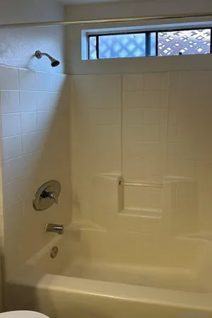 a bathroom with a shower and a bathtub