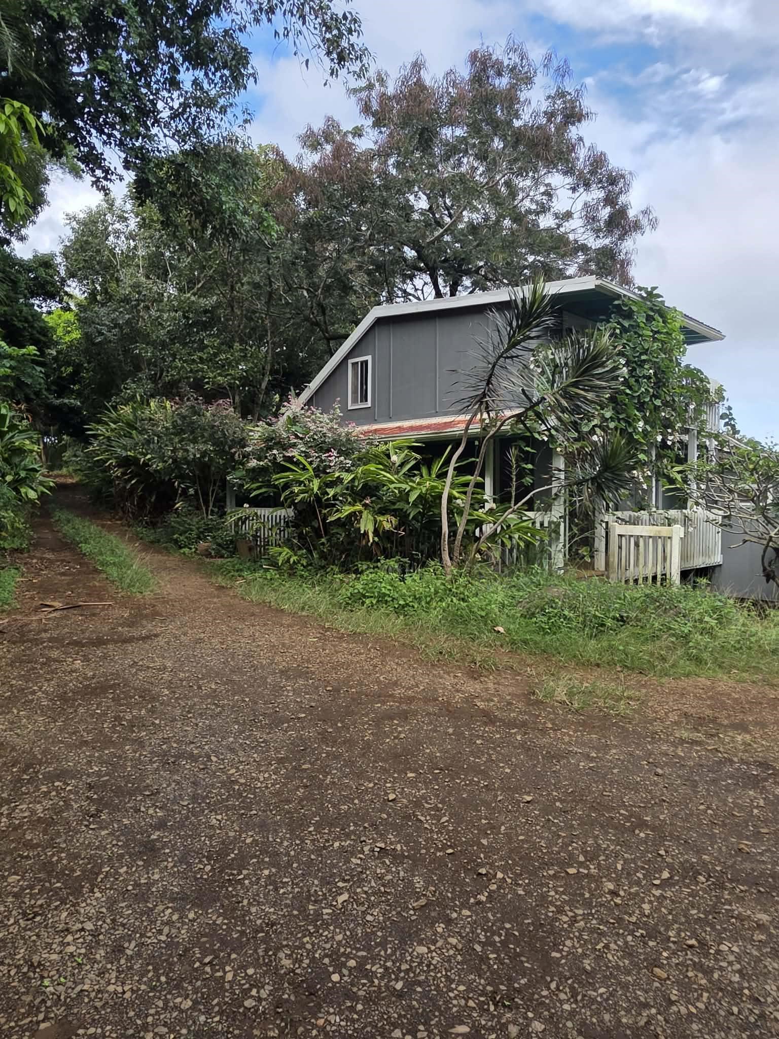 a view of a house with a yard and large trees