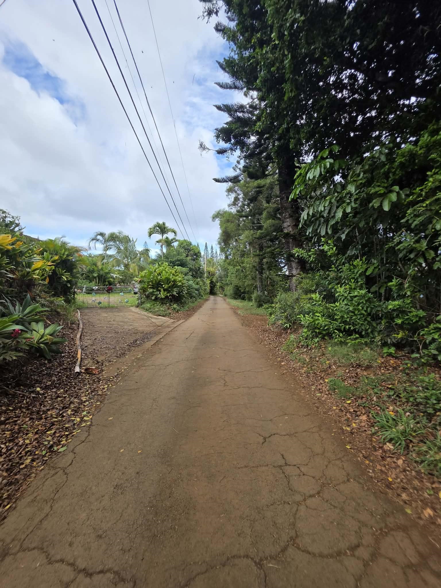 420 Haumana Road Haiku, HI 96708 - Photo 18 of 31 a view of a street view