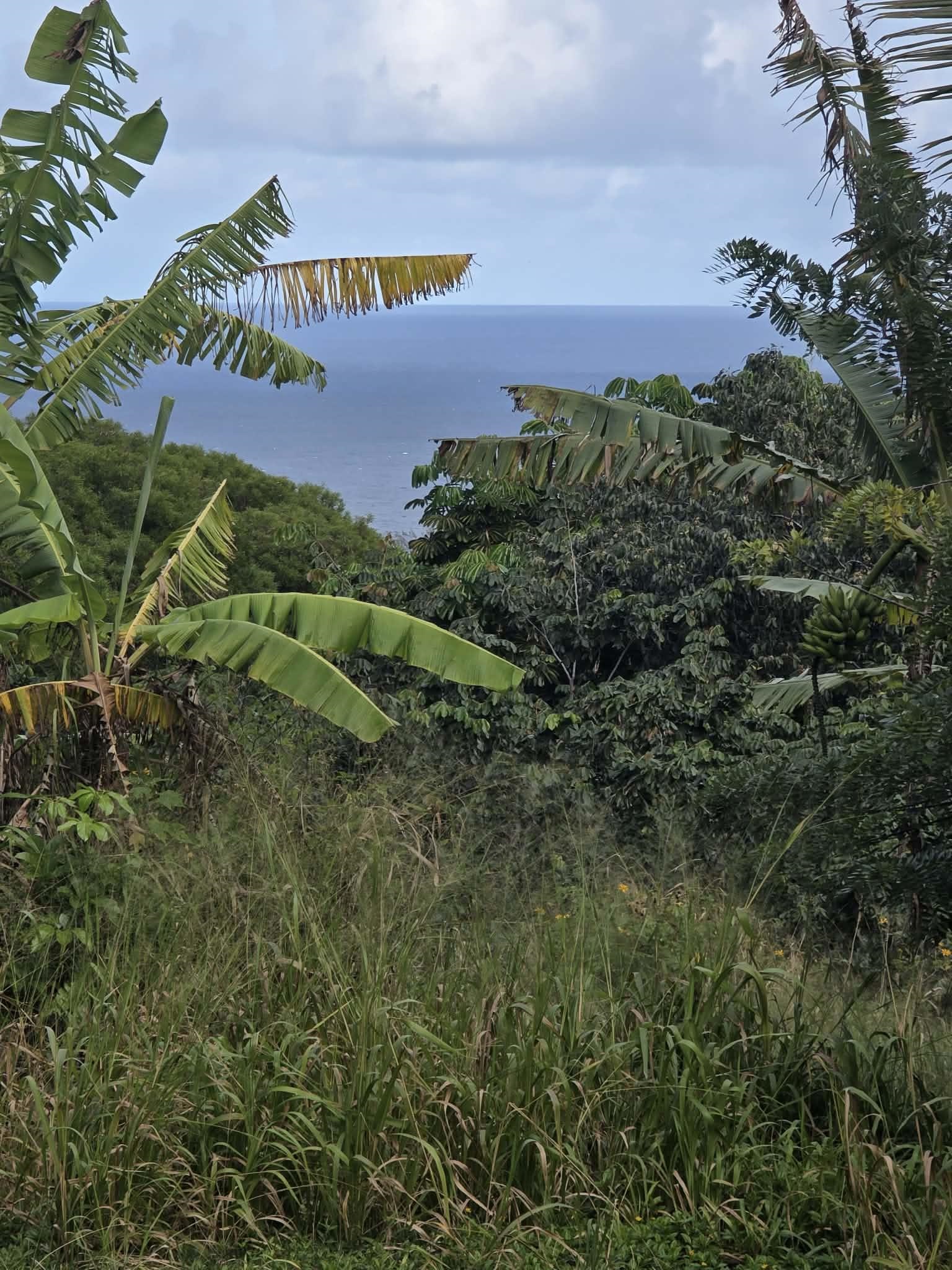 420 Haumana Road Haiku, HI 96708 - Photo 19 of 31 a sign that is sitting on a brick wall