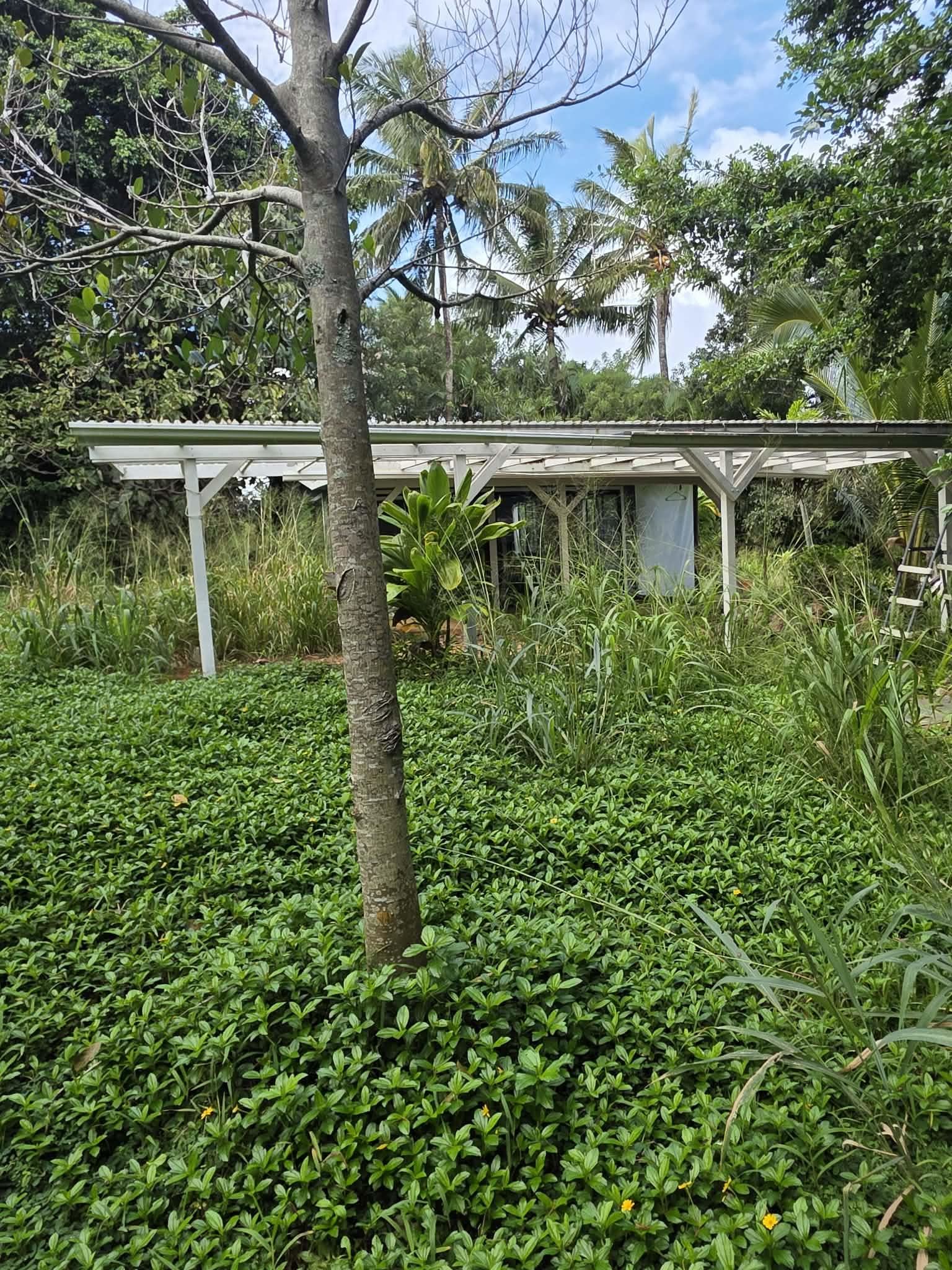 420 Haumana Road Haiku, HI 96708 - Photo 2 of 31 a view of a garden with a lake