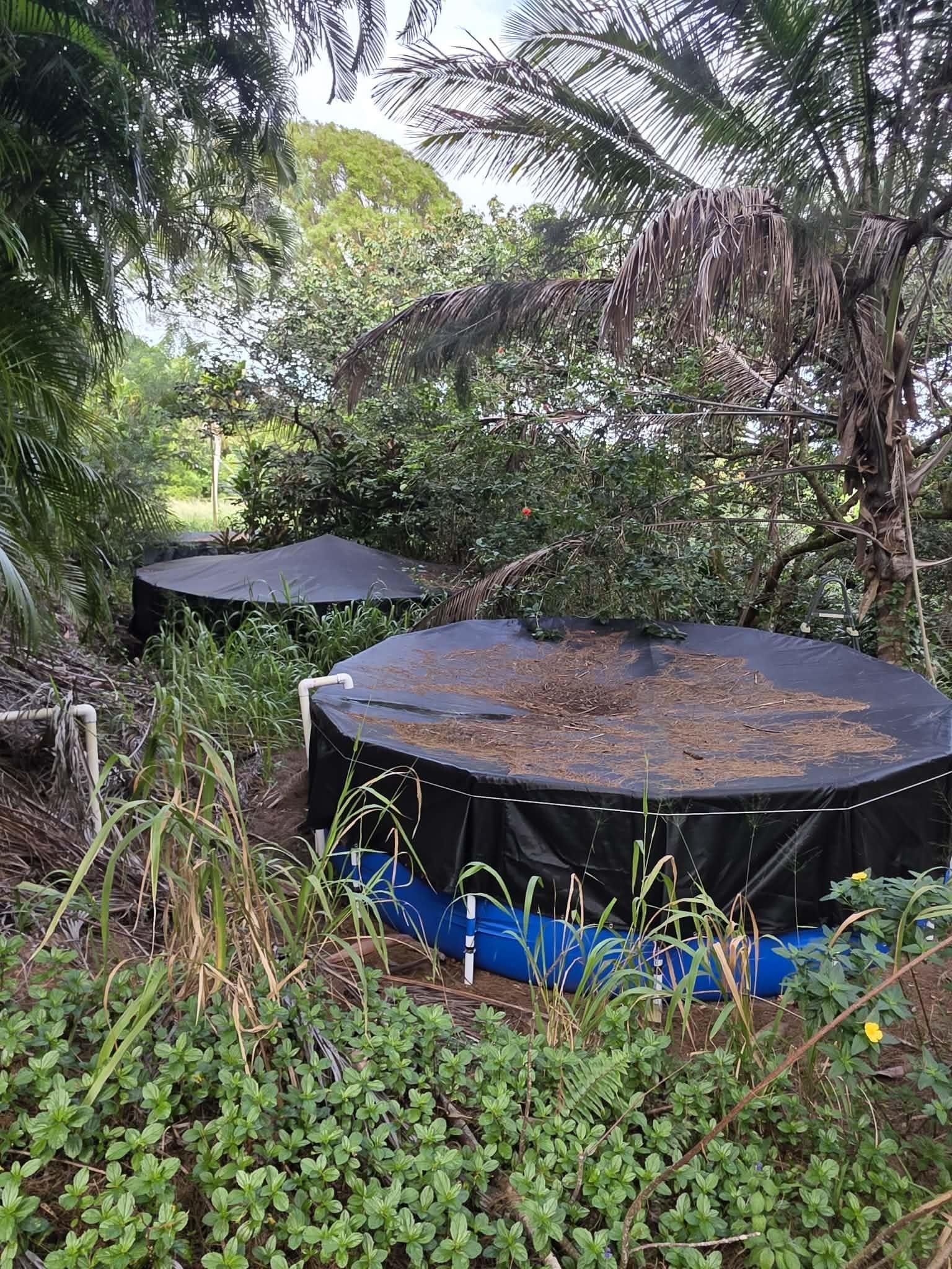420 Haumana Road Haiku, HI 96708 - Photo 25 of 31 an aerial view of a house with a yard table and chairs