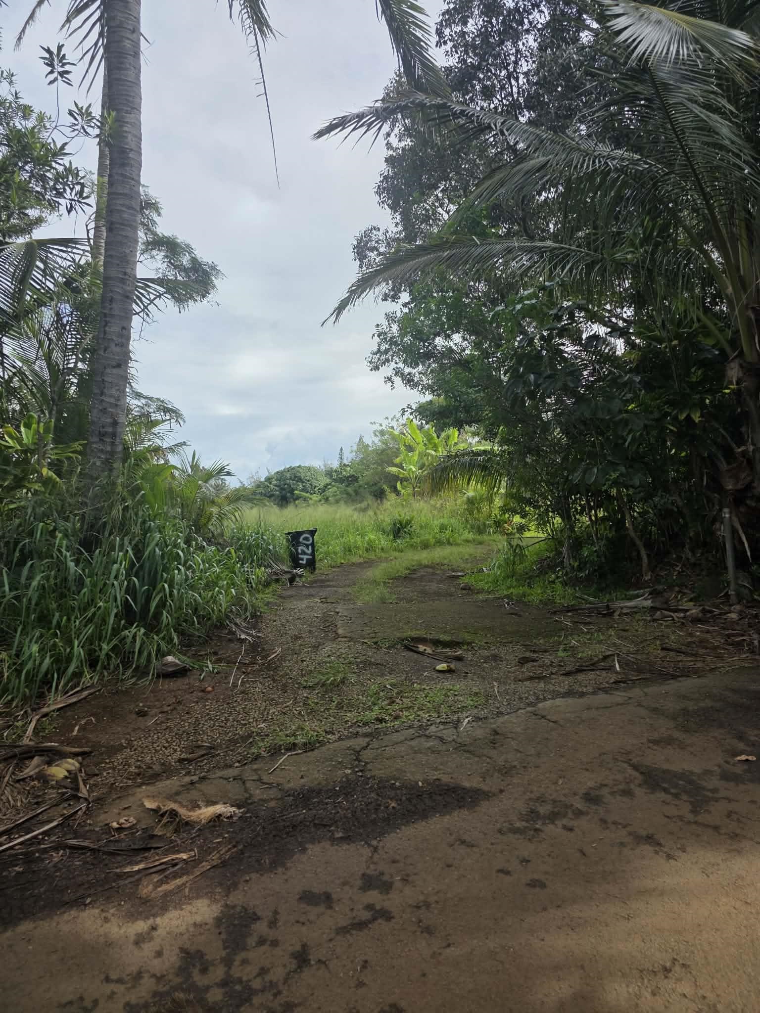 420 Haumana Road Haiku, HI 96708 - Photo 28 of 31 a big yard with lots of green space