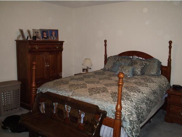 39 Deer Lick Road Danville, NH 03819 - Photo 19 of 25 Gallery Image 19