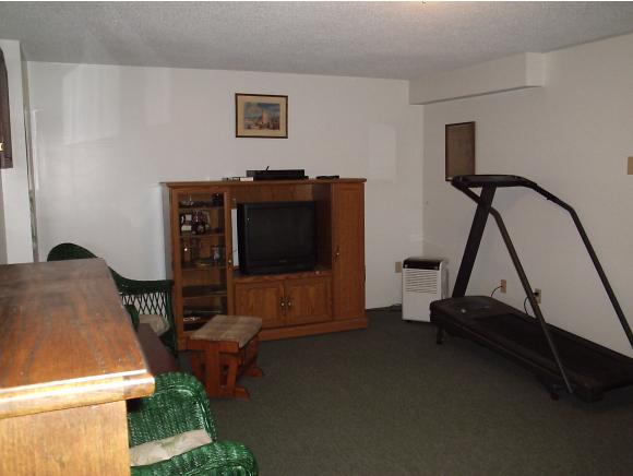 39 Deer Lick Road Danville, NH 03819 - Photo 20 of 25 Gallery Image 20