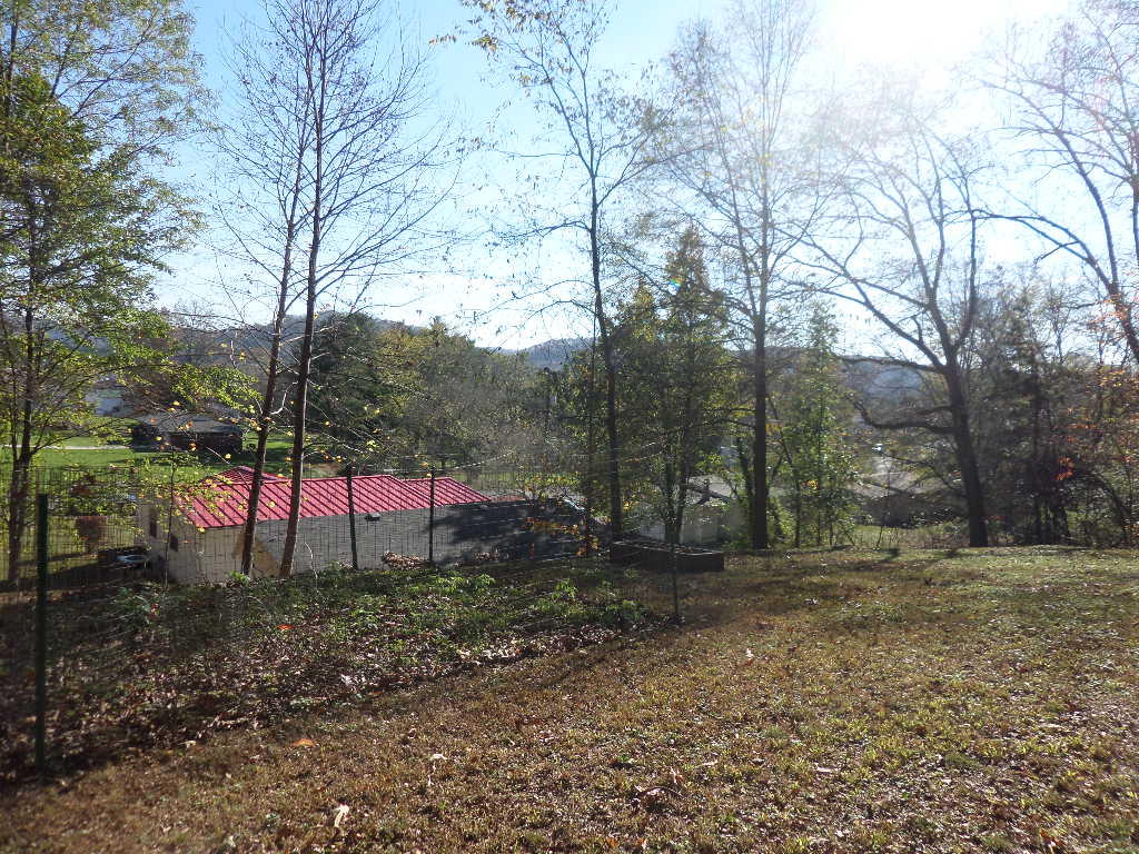 222 Hillside Road Oak Ridge, TN 37830 - Photo 22 of 26 Upper Level Yard with View