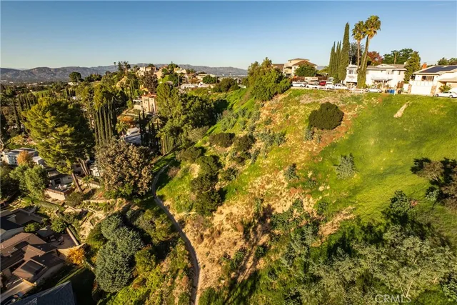 a view of a large tree