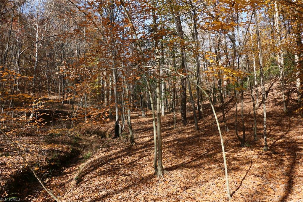 0 Steele Road, Unit 1 Sandy Ridge, NC 27046 - Photo 4 of 6