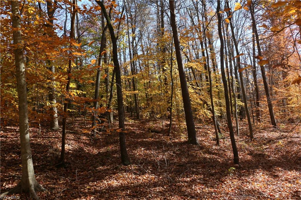 0 Steele Road, Unit 1 Sandy Ridge, NC 27046 - Photo 5 of 6