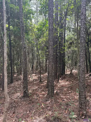$119,368 | 83194 Isabel Swamp Road, Bush, LA 70431