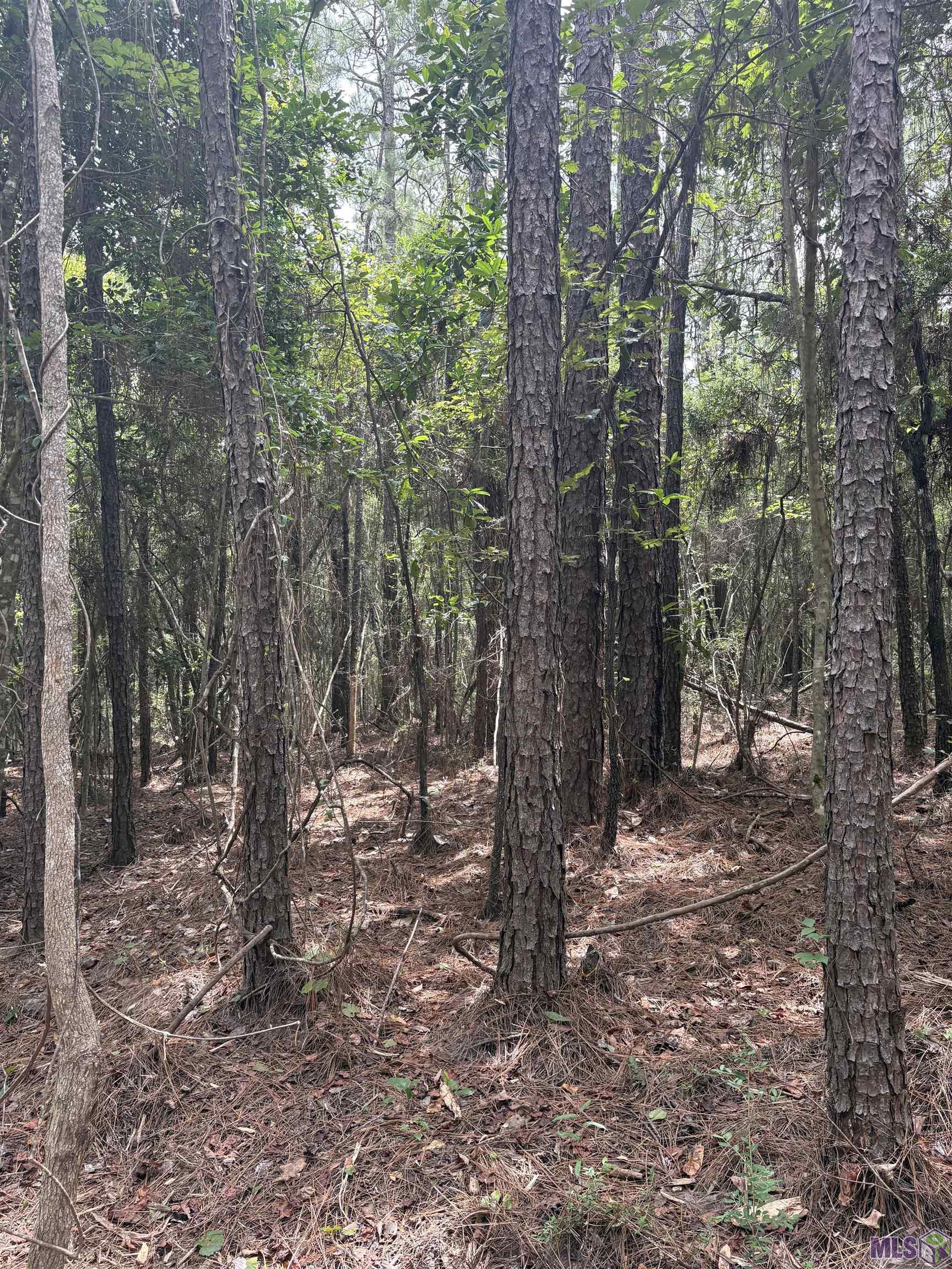 83194 Isabel Swamp Road Bush, LA 70431 - Photo 11 of 18