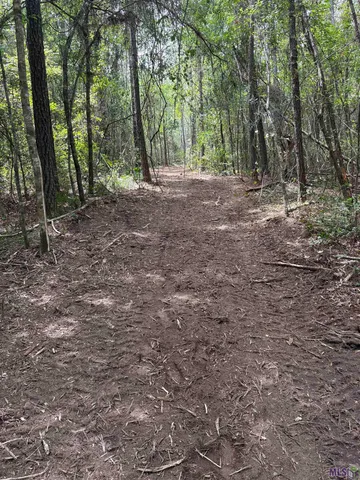 $119,368 | 83194 Isabel Swamp Road, Bush, LA 70431