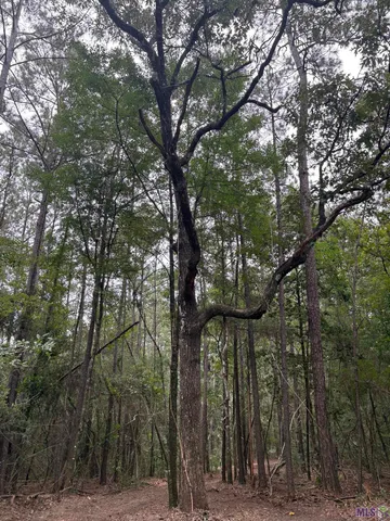 $119,368 | 83194 Isabel Swamp Road, Bush, LA 70431