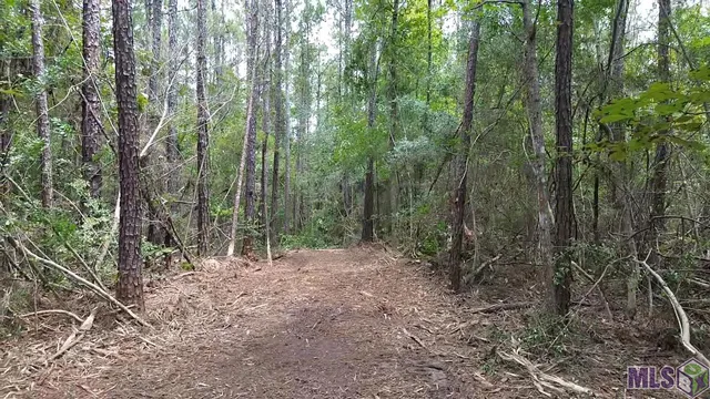 $119,368 | 83194 Isabel Swamp Road, Bush, LA 70431