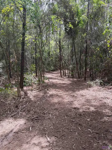 $119,368 | 83194 Isabel Swamp Road, Bush, LA 70431