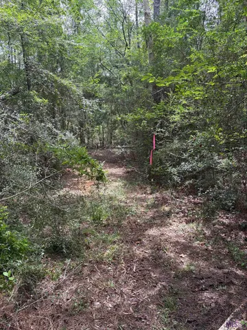 $119,368 | 83194 Isabel Swamp Road, Bush, LA 70431