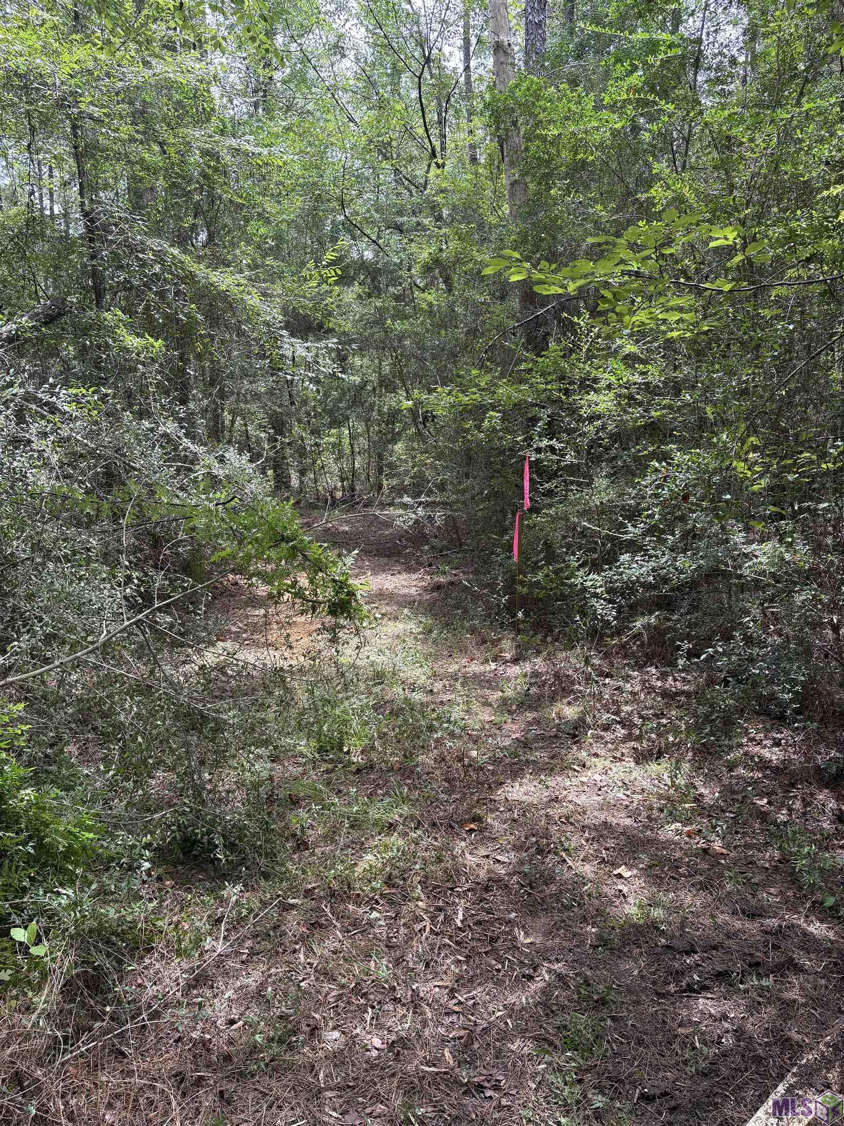 83194 Isabel Swamp Road Bush, LA 70431 - Photo 7 of 18