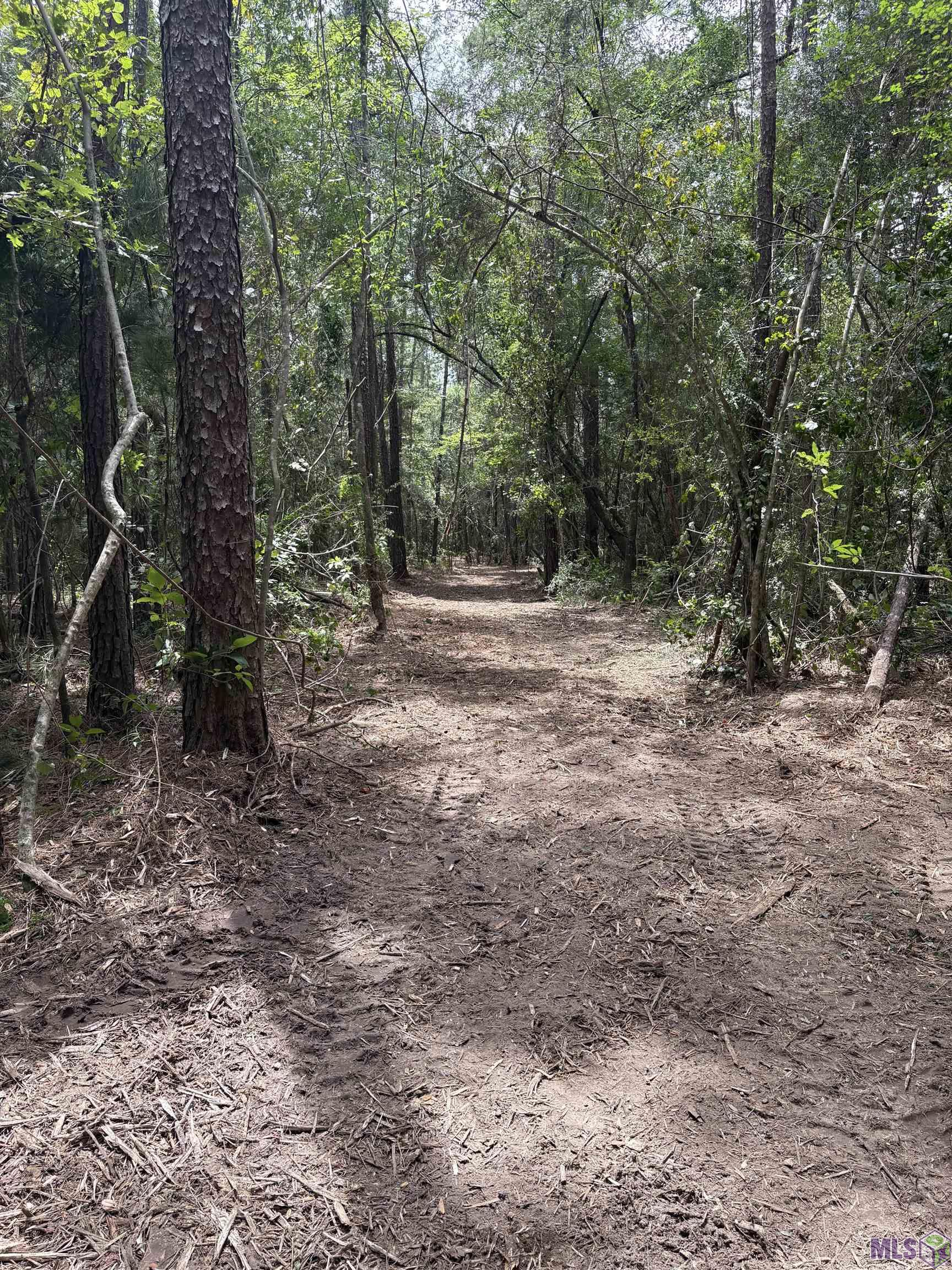 83194 Isabel Swamp Road Bush, LA 70431 - Photo 9 of 18