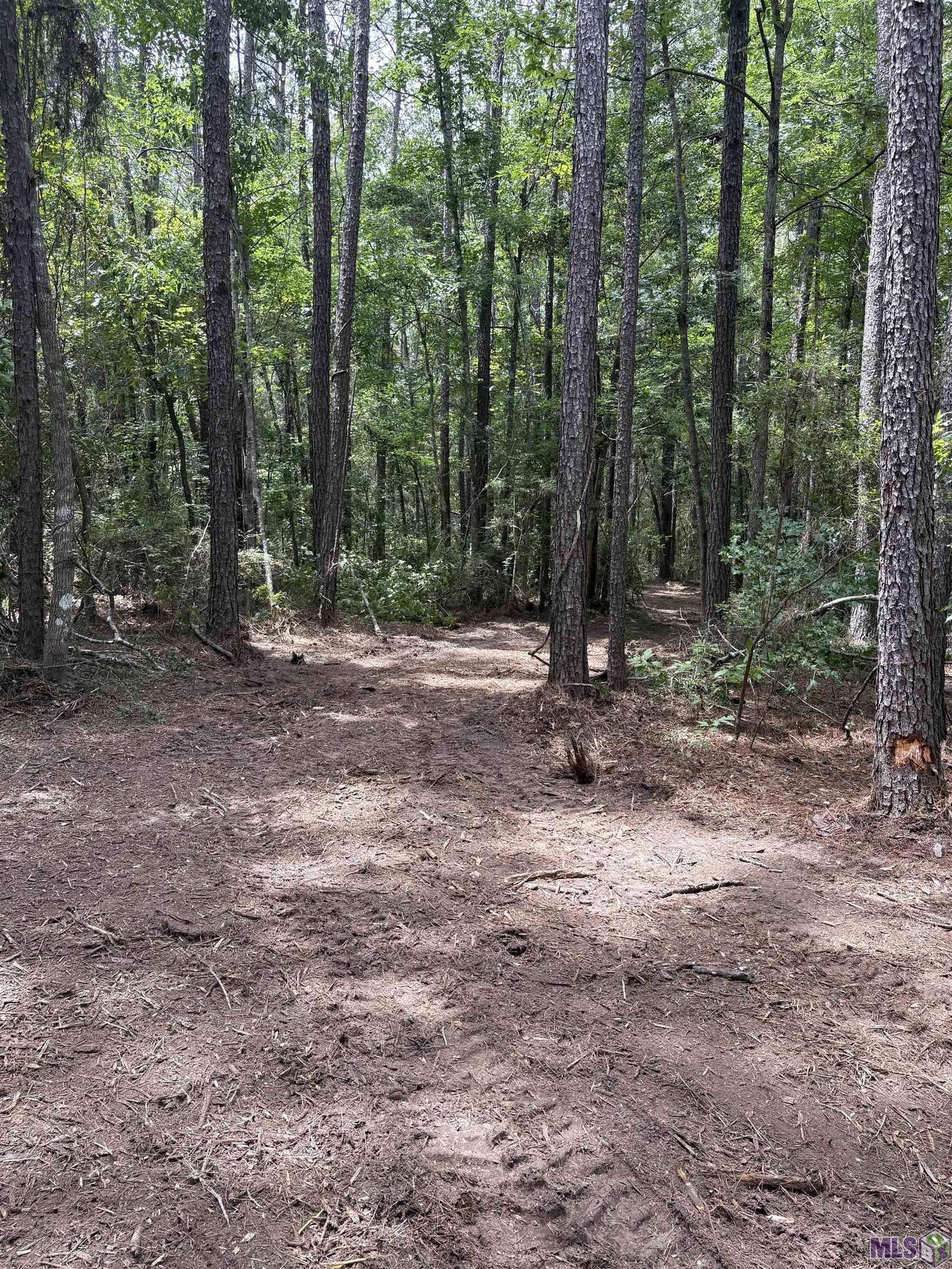 83194 Isabel Swamp Road Bush, LA 70431 - Photo 10 of 18