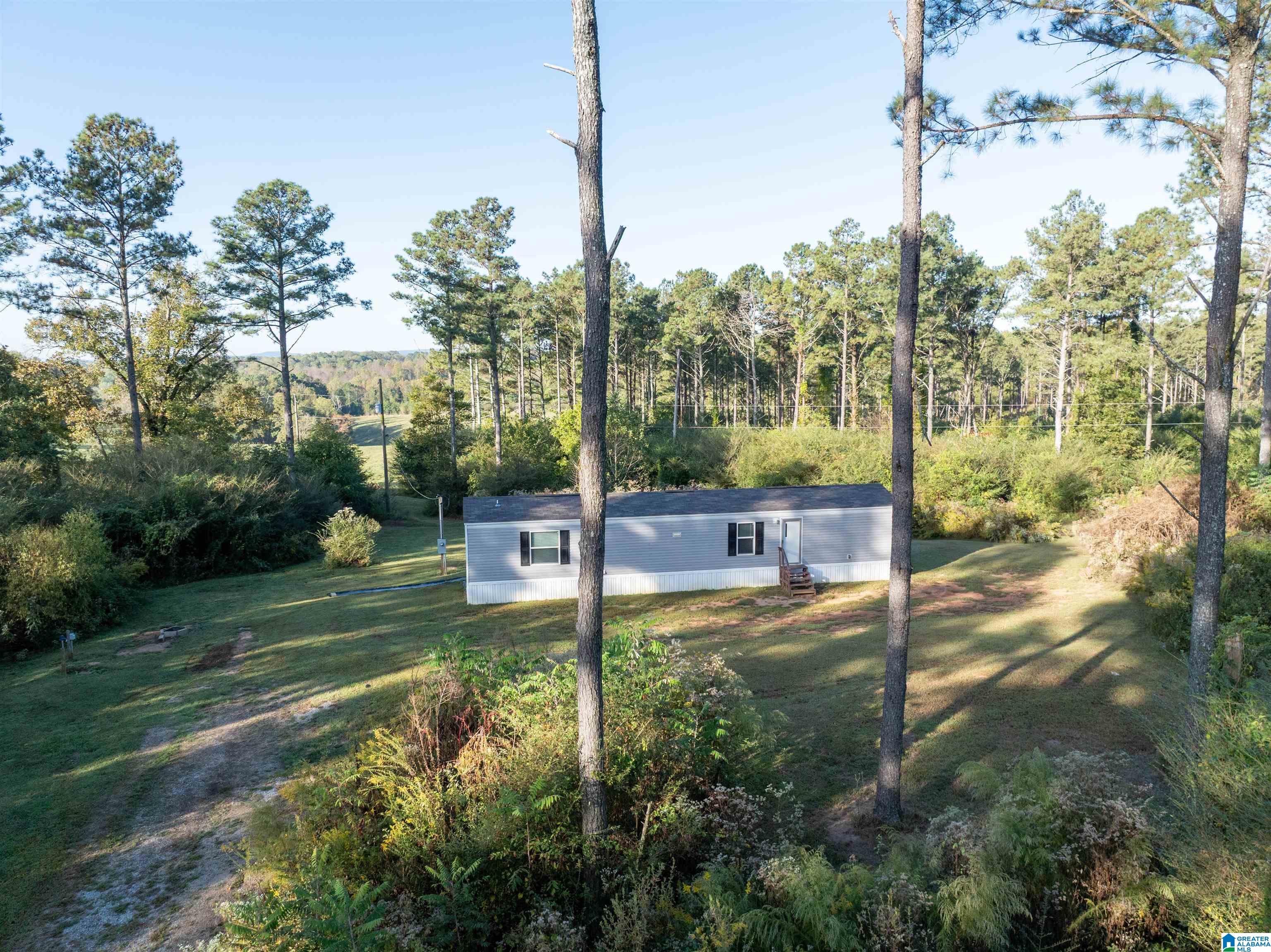 3519 County Road 95 Ranburne, AL 36273 - Photo 3 of 35