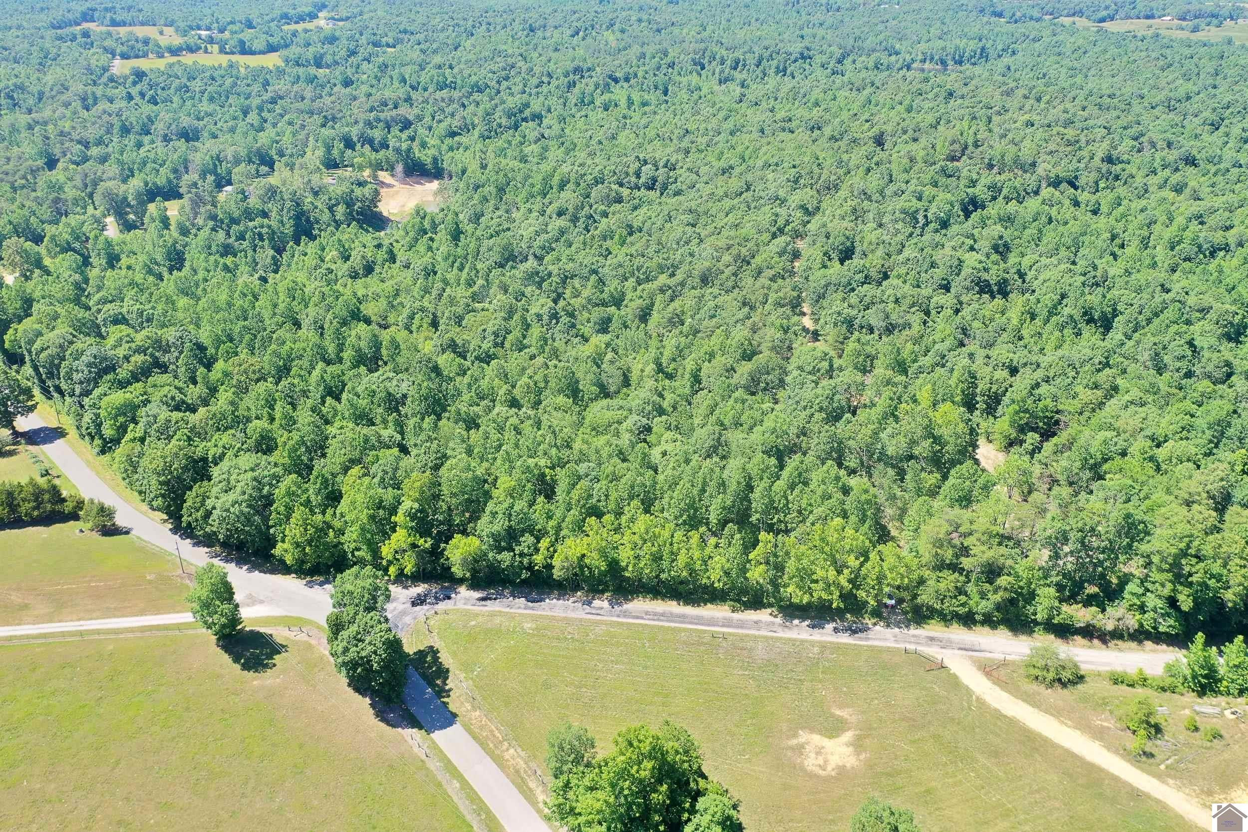 0 Niles Road Dawson Springs, KY 42408 - Photo 1 of 1 Photo 1