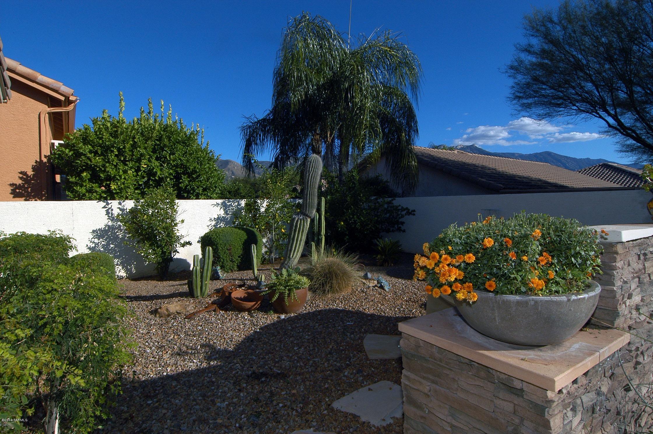 65717 East Desert Rise Drive Tucson, AZ 85739 - Photo 29 of 40