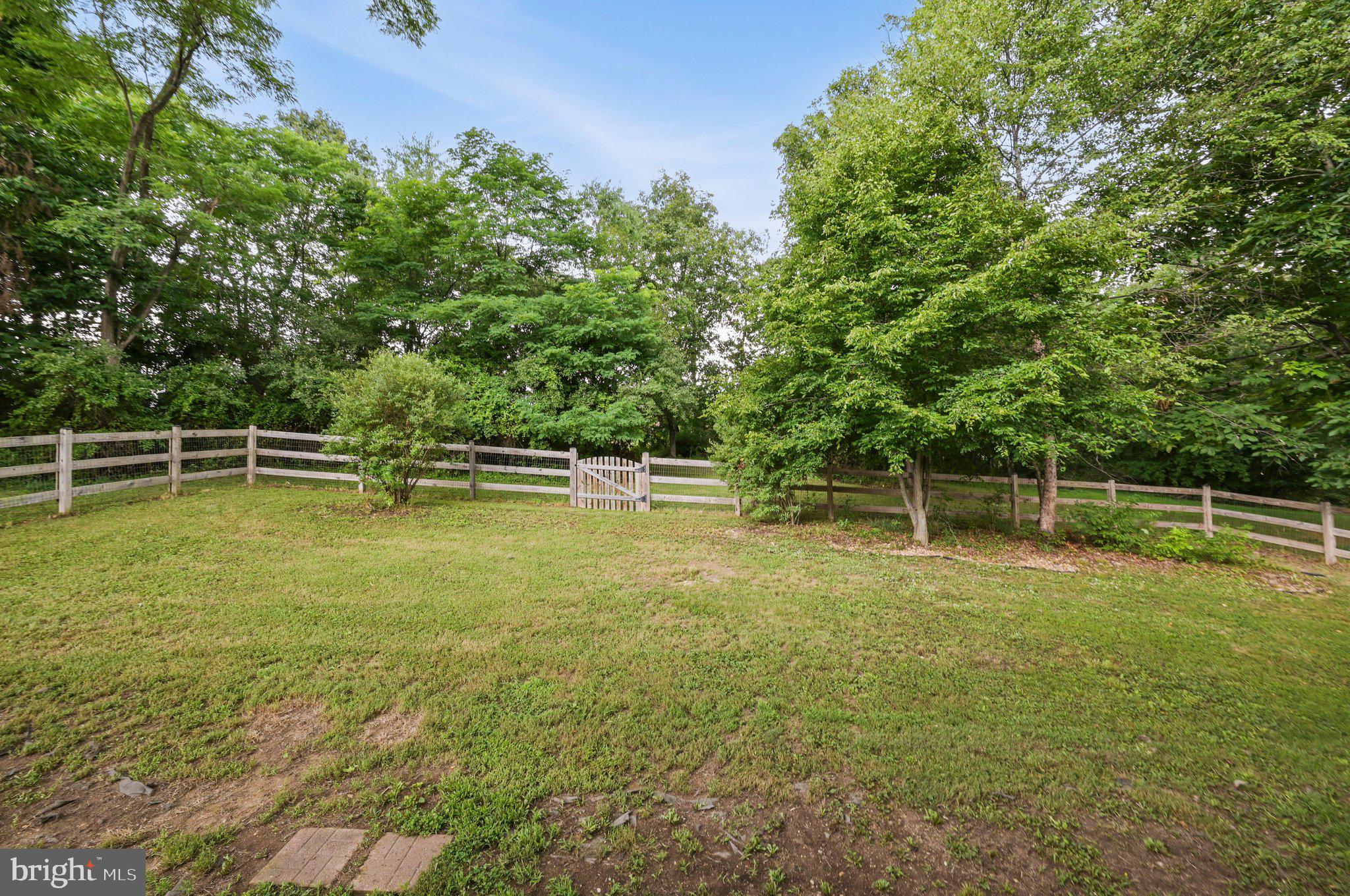 150 Holiday Road Cross Junction, VA 22625 - Photo 6 of 97 Fenced-in backyard