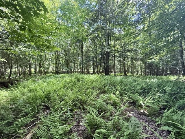 0 Battle Row Road Hyde Park, VT 05655 - Photo 11 of 19
