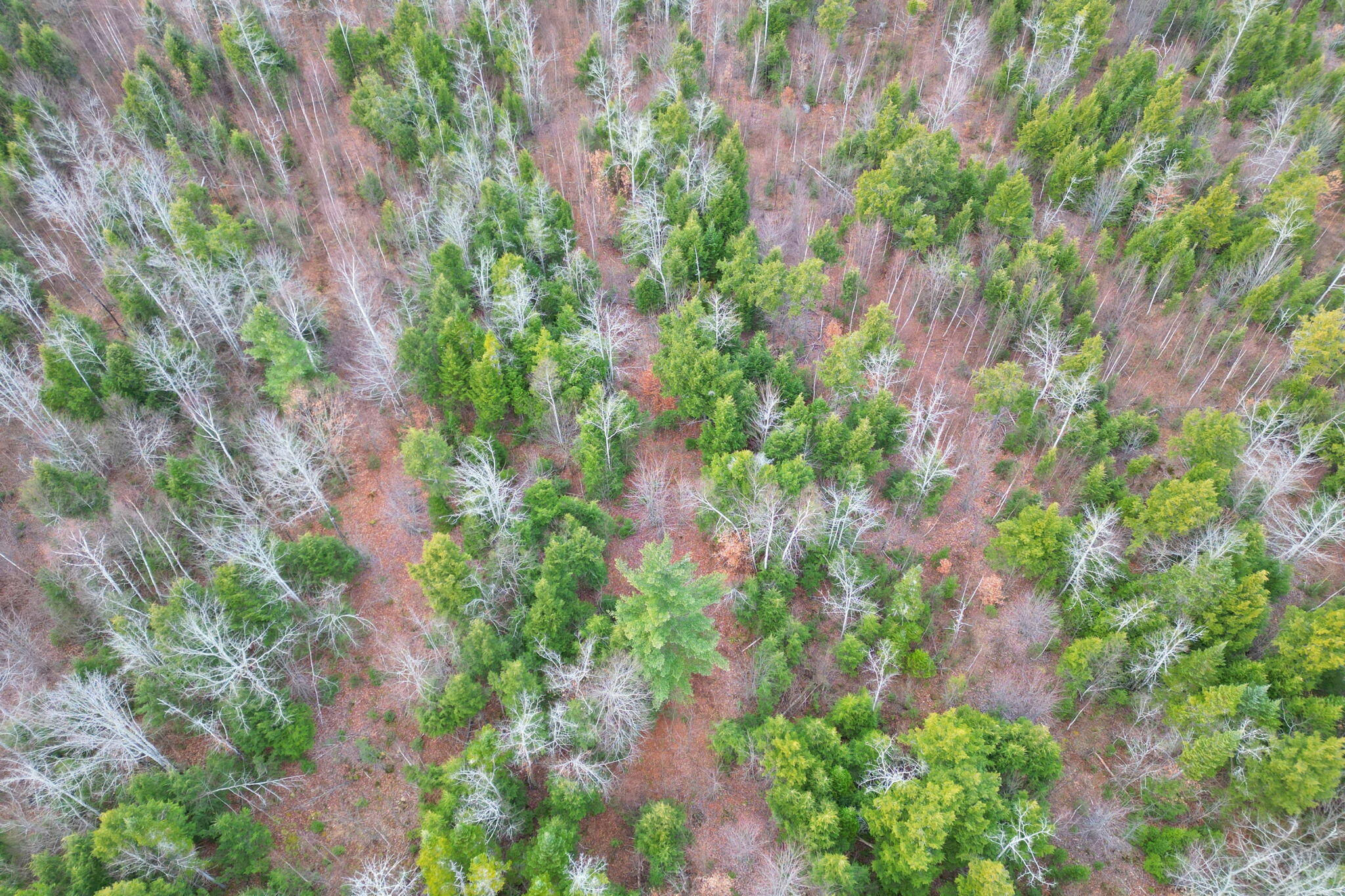 3 Map Road Old Town, ME 04468 - Photo 19 of 26 8-web-or-mls-bradford-station-rd